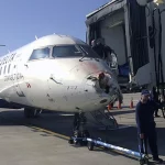 همه‌چیز در مورد برخورد پرندگان با هواپیما (Bird Strike)